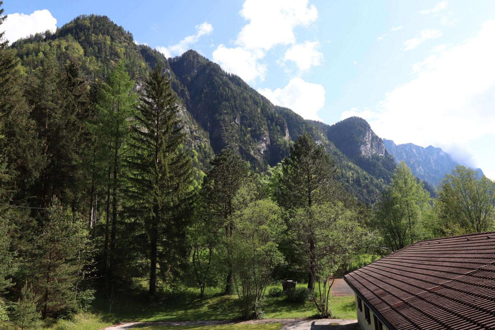 Pension Almhof Baumgarten Bad Reichenhall Bagian luar foto